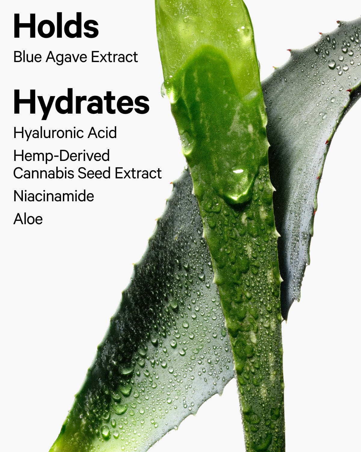 Hydro Grip Hydrating Setting Spray - Image 6