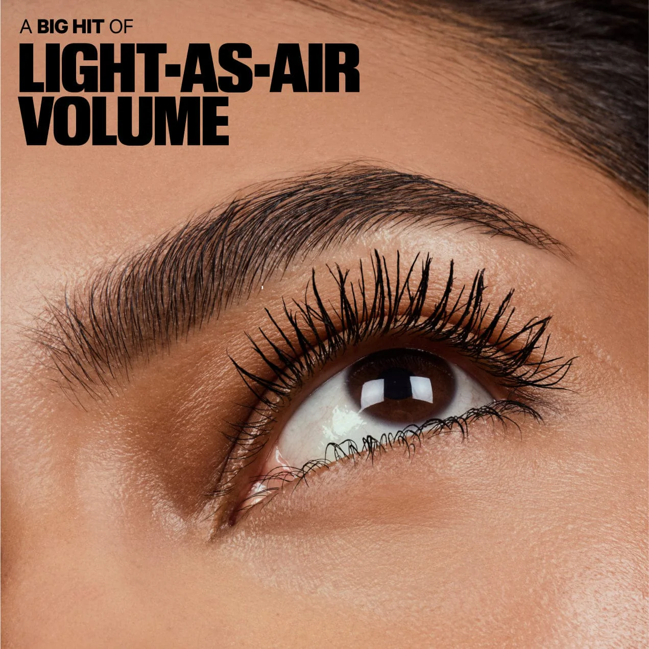 The Lash Duo - Image 10